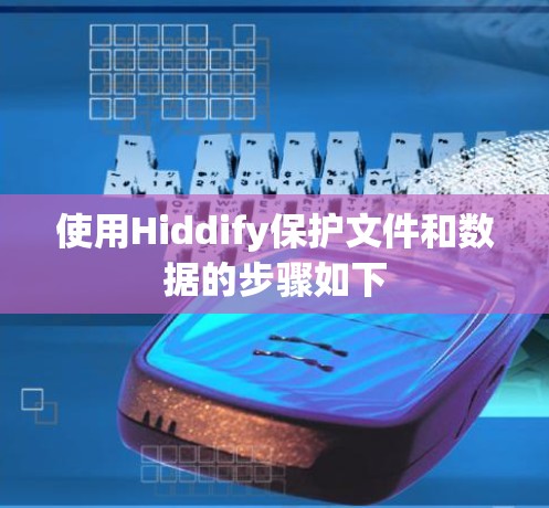 使用Hiddify保护文件和数据的步骤如下