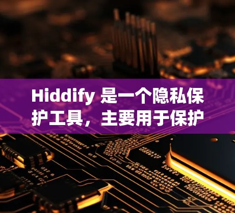 Hiddify 是一个隐私保护工具，主要用于保护文件和数据隐私。配置方法如下