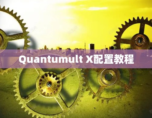 Quantumult X配置教程