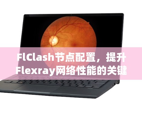 FlClash节点配置,提升Flexray网络性能的关键 FlClash节点配置,提升Flexray网络性能的关键