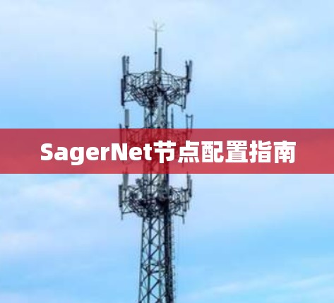 SagerNet节点配置指南