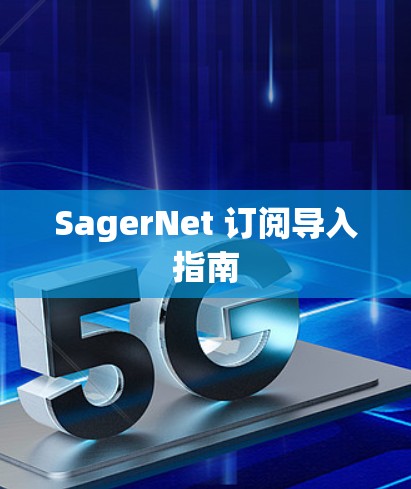 SagerNet 订阅导入指南