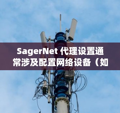 SagerNet 代理设置通常涉及配置网络设备(如防火墙、路由器等)以实现网络流量代理功能。以下是常见的 SagerNet 代理设置步骤和注意事项 SagerNet 代理设置通常涉及配置网络设备(如防火墙、路由器等)以实现网络流量代理功能。以下是常见的 SagerNet 代理设置步骤和注意事项