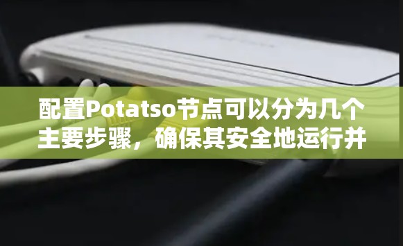 配置Potatso节点可以分为几个主要步骤，确保其安全地运行并连接网络。以下是详细的步骤指南