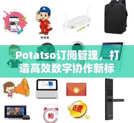 Potatso订阅管理,打造高效数字协作新标准