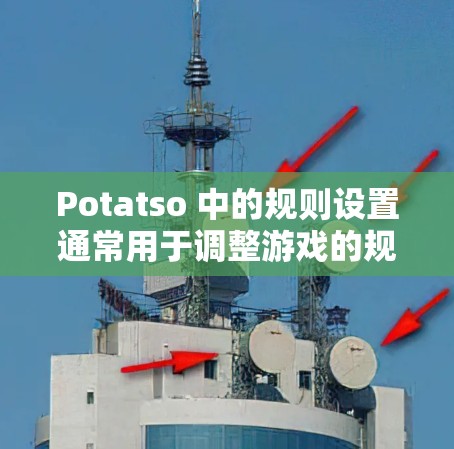 Potatso 中的规则设置通常用于调整游戏的规则，例如游戏模式、胜利条件、得分规则等。具体规则设置可能因版本或游戏类型而有所不同，但以下是一些常见的规则设置项