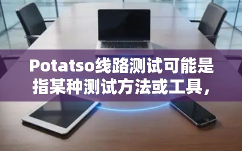 Potatso线路测试可能是指某种测试方法或工具,但目前没有明确的信息表明这是一个广为人知的术语或工具。如果你指的是某种特定的测试方法或工具,可能需要更多的背景信息来提供更准确的解释或帮助