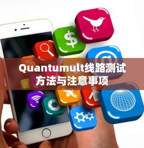 Quantumult线路测试方法与注意事项