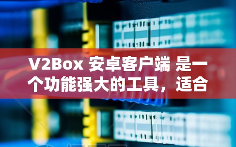 V2Box 安卓客户端 是一个功能强大的工具，适合管理和使用 Box2 服务。以下是对其客户端的详细介绍