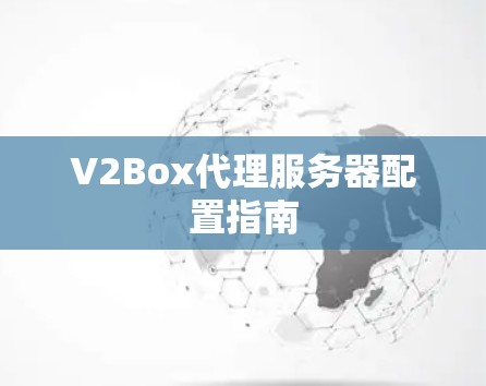 V2Box代理服务器配置指南