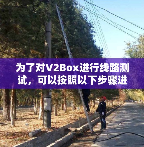 为了对V2Box进行线路测试,可以按照以下步骤进行