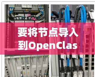 要将节点导入到OpenClash中，可以按照以下步骤操作