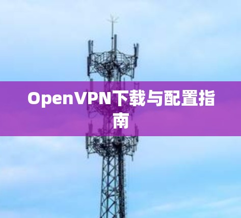 OpenVPN下载与配置指南