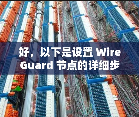 好,以下是设置 WireGuard 节点的详细步骤
