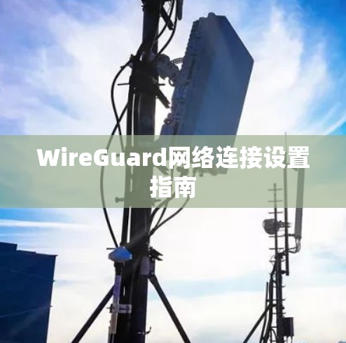 WireGuard网络连接设置指南 WireGuard网络连接设置指南