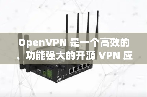 OpenVPN 是一个高效的、功能强大的开源 VPN 应用程序,支持跨平台安装,包括Windows、Mac和Linux。以下是 OpenVPN 电脑版的下载和安装指南