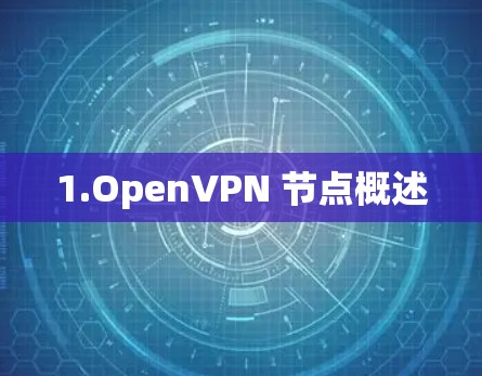 1.OpenVPN 节点概述 1.OpenVPN 节点概述
