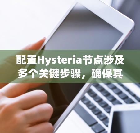 配置Hysteria节点涉及多个关键步骤,确保其安全、隐私和高效运行。以下是详细的配置指南