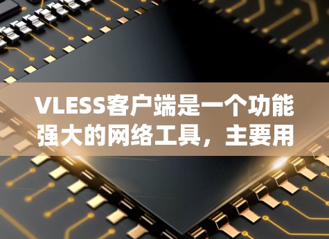 VLESS客户端是一个功能强大的网络工具，主要用于绕过网络限制，访问受限的网站或服务。以下是对VLESS客户端的详细介绍