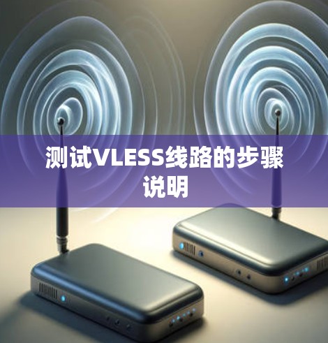 测试VLESS线路的步骤说明