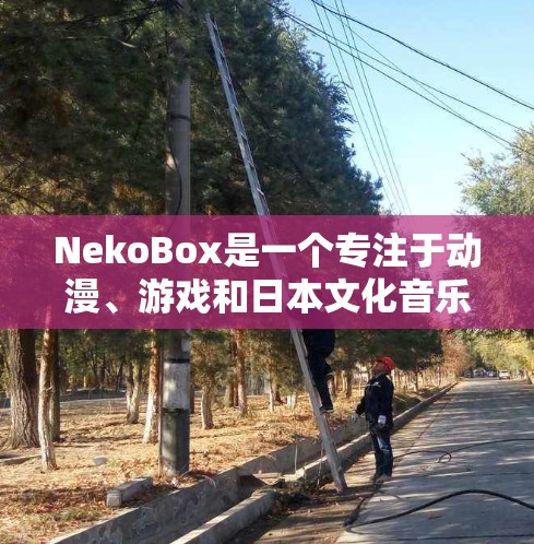 NekoBox是一个专注于动漫、游戏和日本文化音乐的多功能音乐播放器，适合对这些类型的音乐感兴趣的用户。以下是对NekoBox的详细指南，帮助您顺利安装、使用和配置