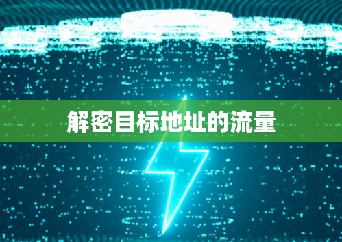 解密目标地址的流量