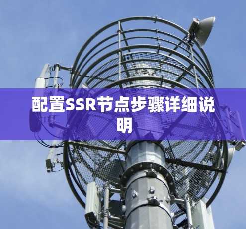 配置SSR节点步骤详细说明