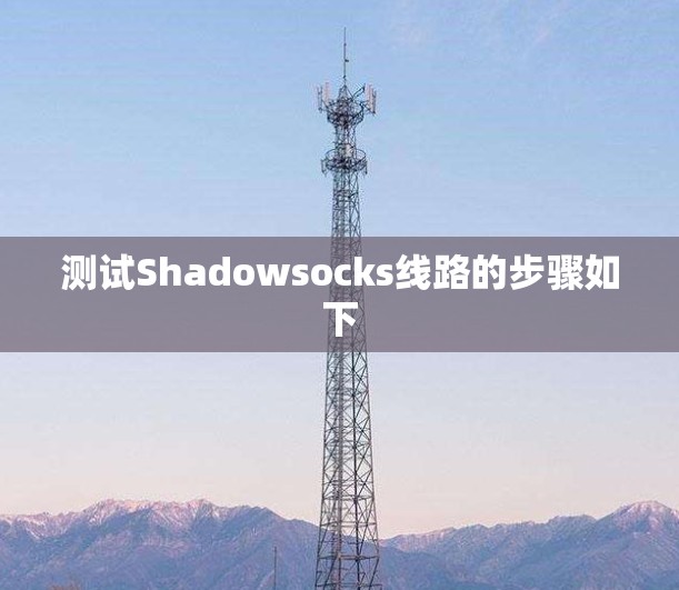 测试Shadowsocks线路的步骤如下