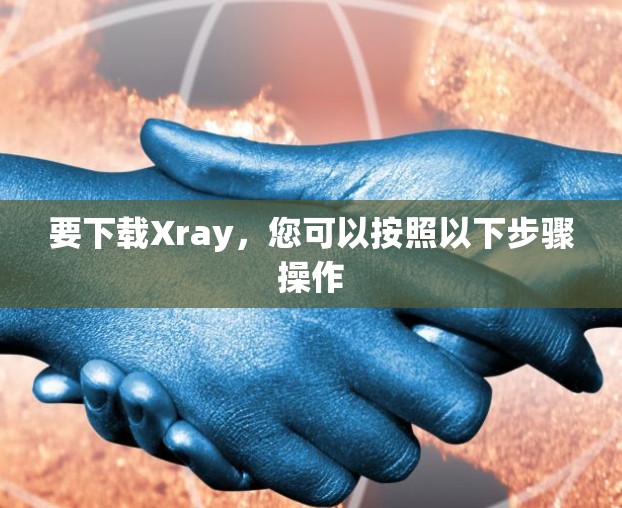 要下载Xray，您可以按照以下步骤操作