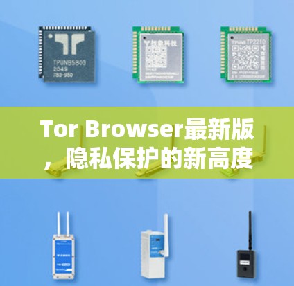 Tor Browser最新版,隐私保护的新高度