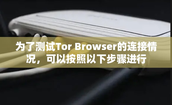 为了测试Tor Browser的连接情况,可以按照以下步骤进行