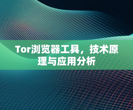 Tor浏览器工具,技术原理与应用分析