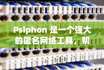 Psiphon 是一个强大的匿名网络工具,帮助用户在浏览网页时保持匿名。以下是使用 Psiphon 的详细步骤指南