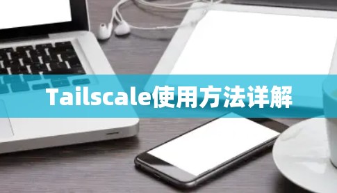 Tailscale使用方法详解
