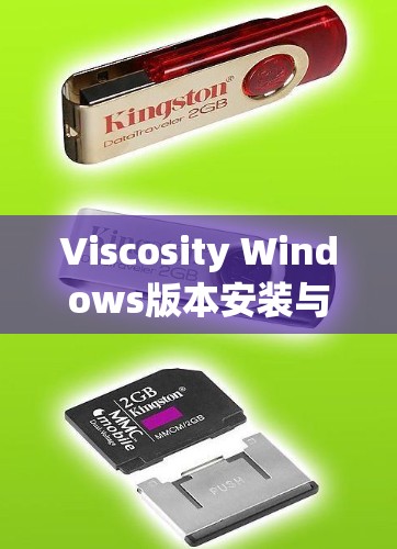 Viscosity Windows版本安装与使用指南