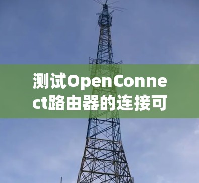 测试OpenConnect路由器的连接可分为以下步骤