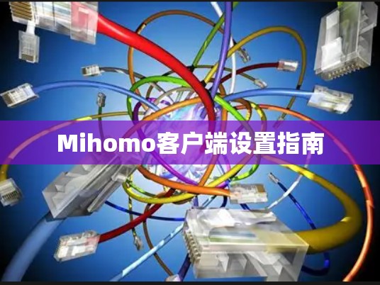 Mihomo客户端设置指南