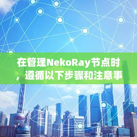 在管理NekoRay节点时,遵循以下步骤和注意事项可以确保系统的稳定性和高效性