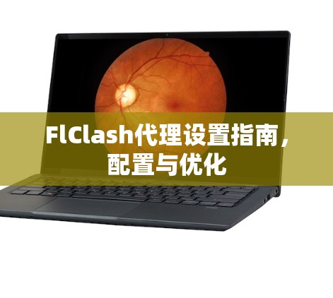 FlClash代理设置指南,配置与优化 FlClash代理设置指南,配置与优化