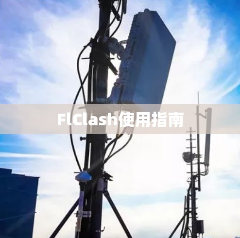 FlClash使用指南