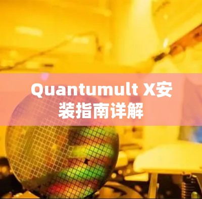 Quantumult X安装指南详解