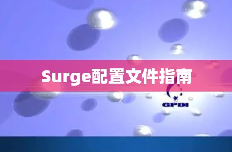 Surge配置文件指南