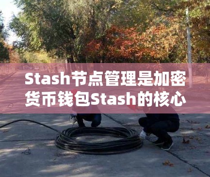 Stash节点管理是加密货币钱包Stash的核心功能之一，涉及多个方面，确保用户能够安全且有效地管理钱包。以下是Stash节点管理的详细步骤