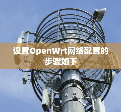 设置OpenWrt网络配置的步骤如下