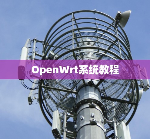 OpenWrt系统教程