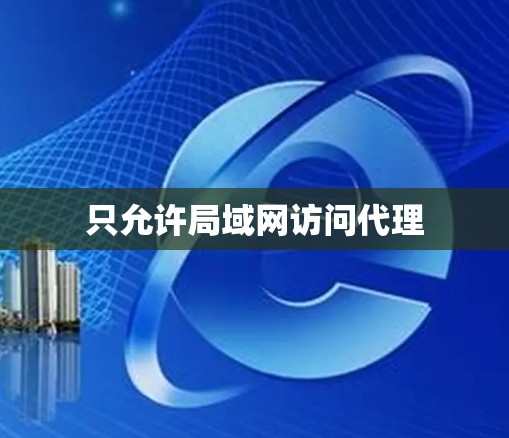 只允许局域网访问代理