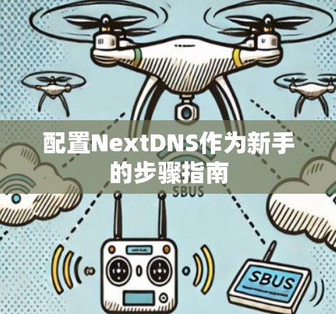 配置NextDNS作为新手的步骤指南 配置NextDNS作为新手的步骤指南