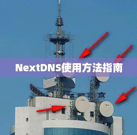 NextDNS使用方法指南