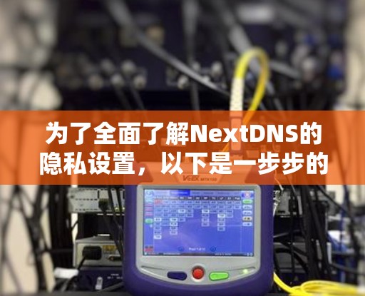 为了全面了解NextDNS的隐私设置,以下是一步步的指南