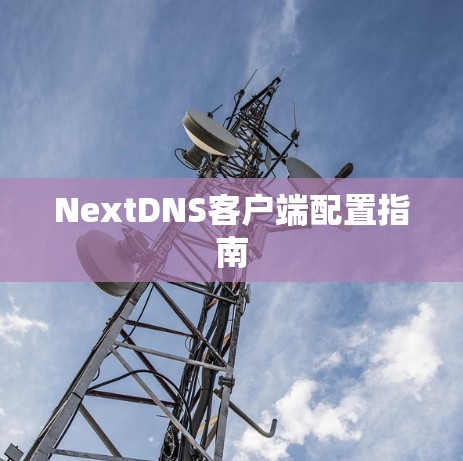 NextDNS客户端配置指南 NextDNS客户端配置指南